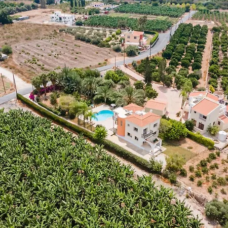 Arkadia By Ezoria Willa